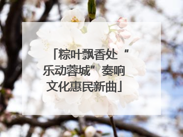 粽叶飘香处“乐动蓉城”奏响文化惠民新曲