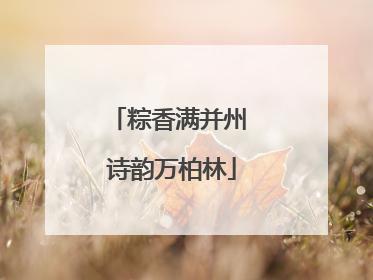 粽香满并州 诗韵万柏林