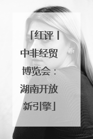 红评丨中非经贸博览会：湖南开放新引擎