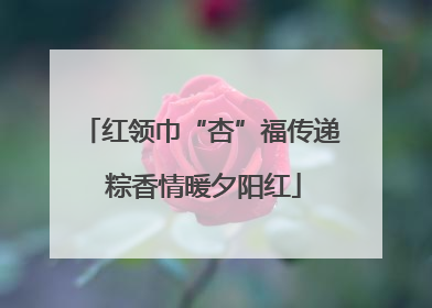 红领巾“杏”福传递 粽香情暖夕阳红