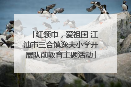 红领巾，爱祖国 江油市三合镇逸夫小学开展队前教育主题活动