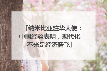 纳米比亚驻华大使：中国经验表明，现代化不光是经济腾飞