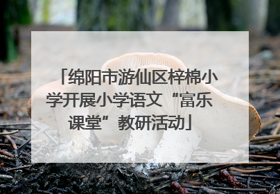 绵阳市游仙区梓棉小学开展小学语文“富乐课堂”教研活动