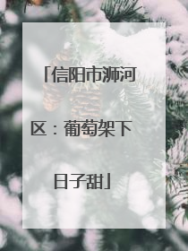 信阳市浉河区：葡萄架下日子甜