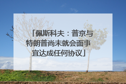 佩斯科夫：普京与特朗普尚未就会面事宜达成任何协议