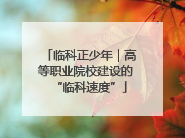 临科正少年｜高等职业院校建设的“临科速度”