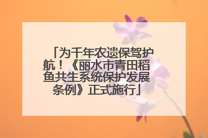 为千年农遗保驾护航！《丽水市青田稻鱼共生系统保护发展条例》正式施行