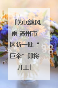 为民遮风雨 漳州市区新一批“巨伞”即将开工