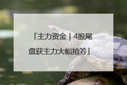 主力资金｜4股尾盘获主力大幅抢筹