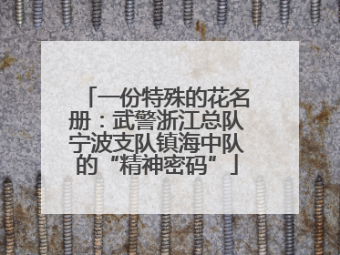 一份特殊的花名册：武警浙江总队宁波支队镇海中队的“精神密码”