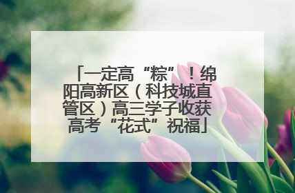 一定高“粽”！绵阳高新区（科技城直管区）高三学子收获高考“花式”祝福