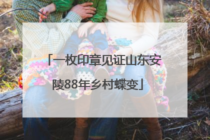 一枚印章见证山东安陵88年乡村蝶变