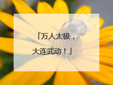 万人太极，大连武动！