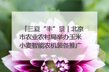 三夏“丰”景｜北京市农业农村局举办玉米小麦智能农机装备推广“田间日”活动