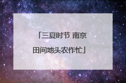 三夏时节 南京田间地头农作忙