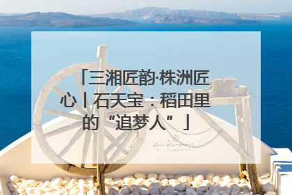 三湘匠韵·株洲匠心丨石天宝：稻田里的“追梦人”
