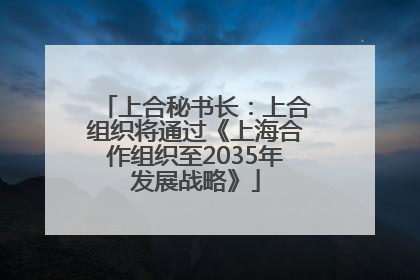 上合秘书长：上合组织将通过《上海合作组织至2035年发展战略》