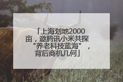 上海划地2000亩，邀腾讯小米共探“养老科技蓝海”，背后商机几何