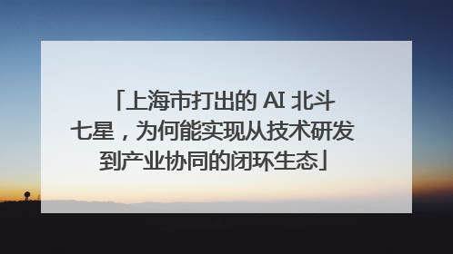 上海市打出的 AI 北斗七星，为何能实现从技术研发到产业协同的闭环生态