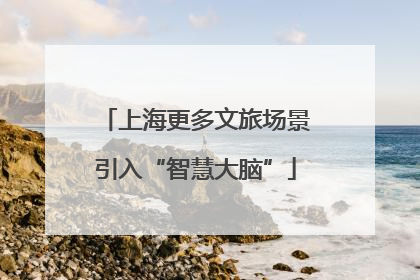 上海更多文旅场景引入“智慧大脑”