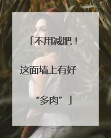 不用减肥！这面墙上有好“多肉”