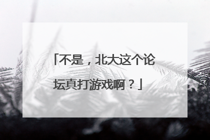 不是，北大这个论坛真打游戏啊？