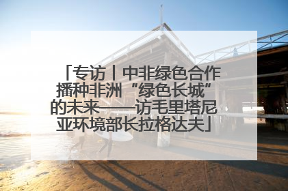 专访丨中非绿色合作播种非洲“绿色长城”的未来——访毛里塔尼亚环境部长拉格达夫