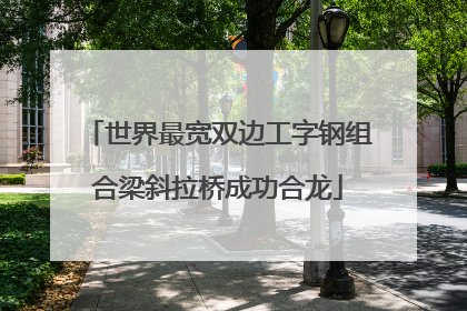 世界最宽双边工字钢组合梁斜拉桥成功合龙