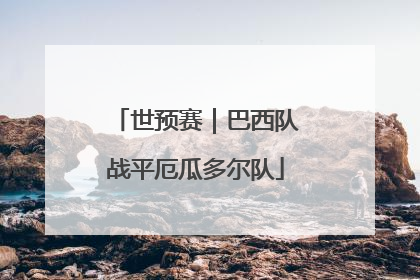 世预赛｜巴西队战平厄瓜多尔队