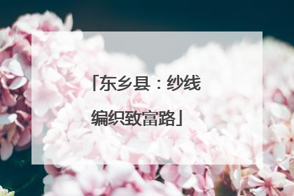 东乡县：纱线编织致富路
