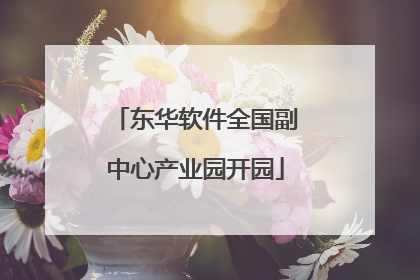 东华软件全国副中心产业园开园