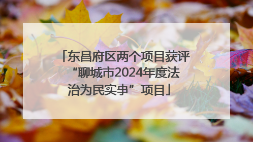 东昌府区两个项目获评“聊城市2024年度法治为民实事”项目