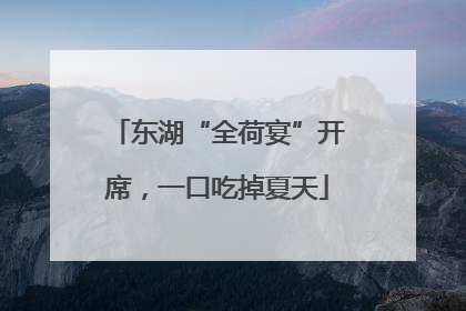 东湖“全荷宴”开席，一口吃掉夏天