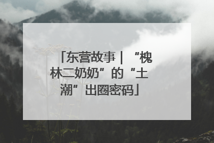 东营故事｜“槐林二奶奶”的“土潮”出圈密码