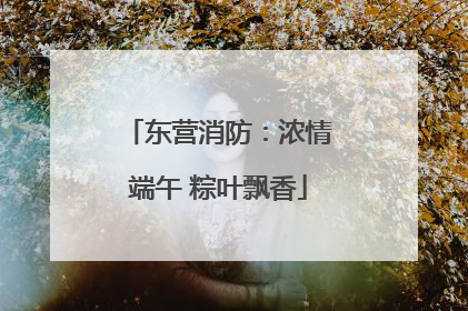 东营消防：浓情端午 粽叶飘香