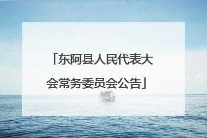 东阿县人民代表大会常务委员会公告