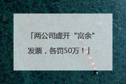 两公司虚开“富余”发票，各罚50万！