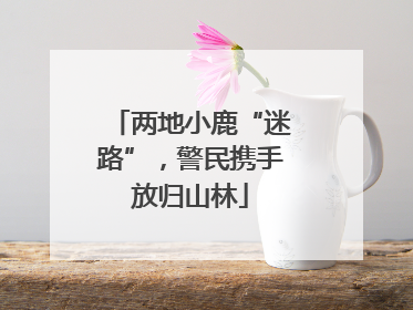 两地小鹿“迷路”，警民携手放归山林