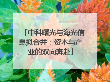 中科曙光与海光信息拟合并：资本与产业的双向奔赴