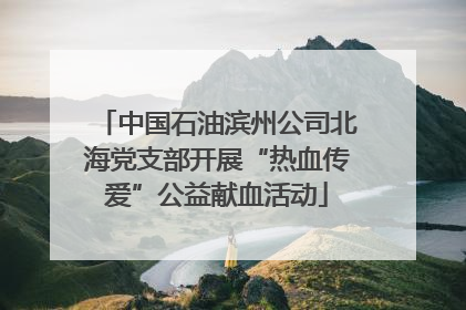 中国石油滨州公司北海党支部开展“热血传爱”公益献血活动