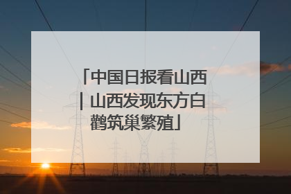 中国日报看山西｜山西发现东方白鹳筑巢繁殖