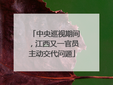 中央巡视期间，江西又一官员主动交代问题