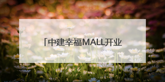 中建幸福MALL开业不足两年易主，记者探访：管理权已完成交接，不少商铺空置待招商