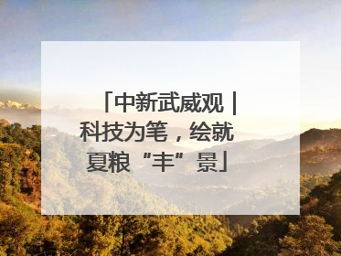 中新武威观｜科技为笔，绘就夏粮“丰”景