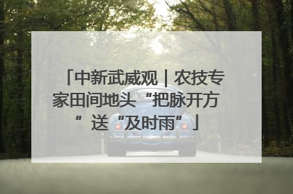 中新武威观｜农技专家田间地头“把脉开方”送“及时雨”