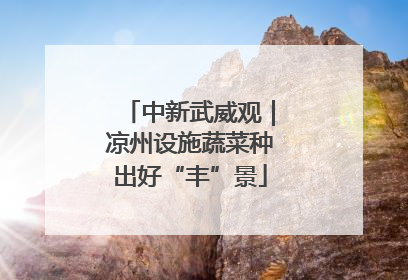 中新武威观｜凉州设施蔬菜种出好“丰”景