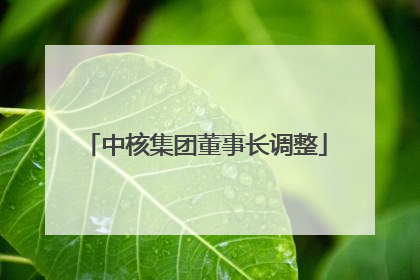 中核集团董事长调整