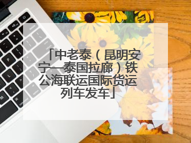 中老泰（昆明安宁—泰国拉廊）铁公海联运国际货运列车发车