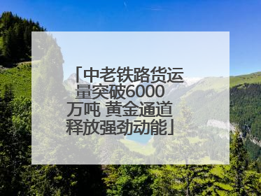 中老铁路货运量突破6000万吨 黄金通道释放强劲动能