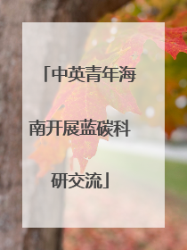 中英青年海南开展蓝碳科研交流